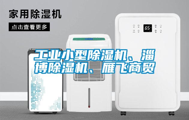工業(yè)小型除濕機、淄博除濕機、雁飛商貿