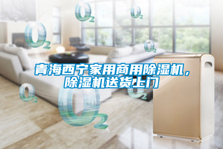 青海西寧家用商用除濕機，除濕機送貨上門