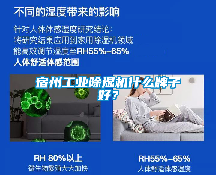 宿州工業(yè)除濕機什么牌子好？
