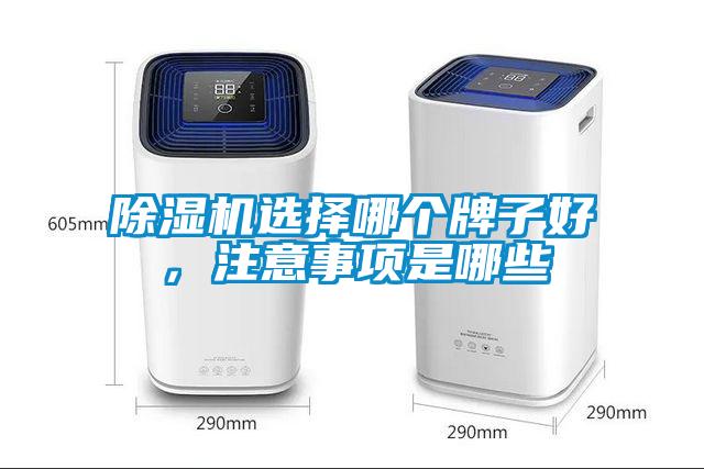 除濕機選擇哪個牌子好,注意事項是哪些