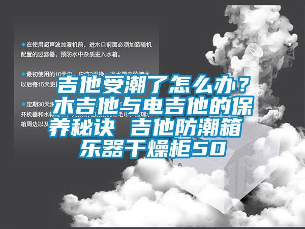 吉他受潮了怎么辦?木吉他與電吉他的保養(yǎng)秘訣 吉他防潮箱 樂器干燥柜50