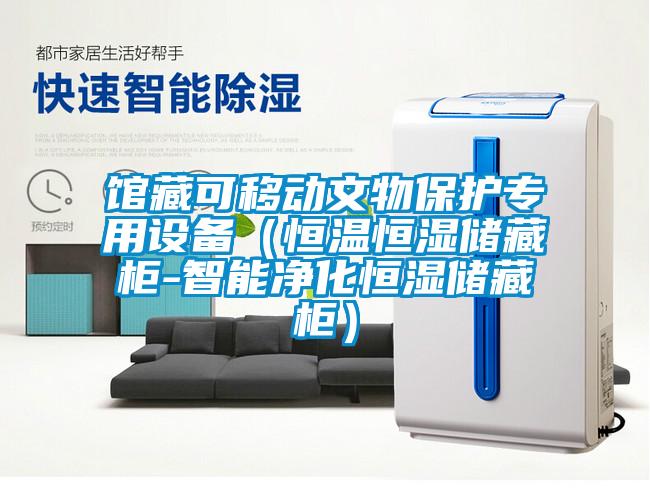 館藏可移動文物保護(hù)專用設(shè)備(恒溫恒濕儲藏柜-智能凈化恒濕儲藏柜)