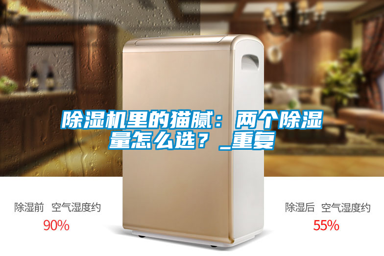除濕機(jī)里的貓膩：兩個(gè)除濕量怎么選？_重復(fù)