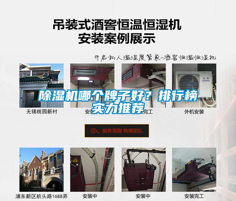除濕機哪個牌子好？排行榜實力推薦