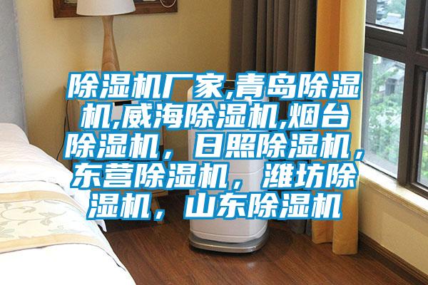 除濕機廠家,青島除濕機,威海除濕機,煙臺除濕機，日照除濕機，東營除濕機，濰坊除濕機，山東除濕機