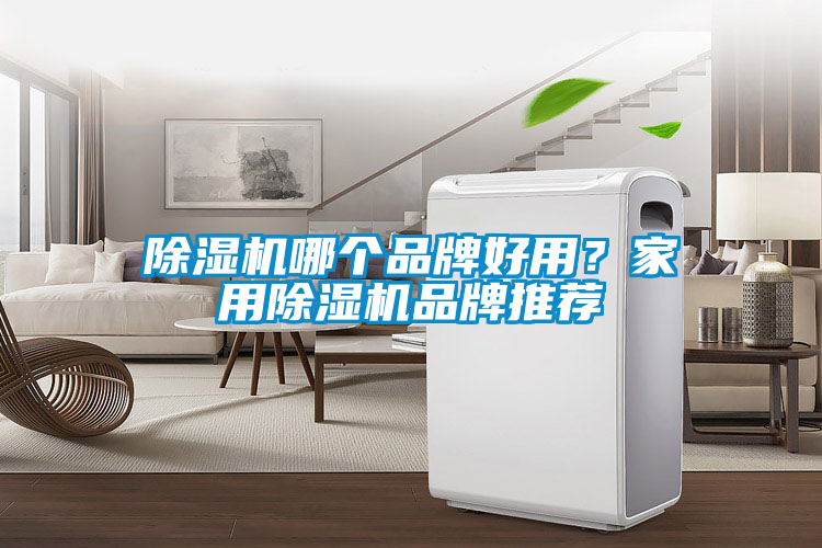 除濕機哪個品牌好用?家用除濕機品牌推薦