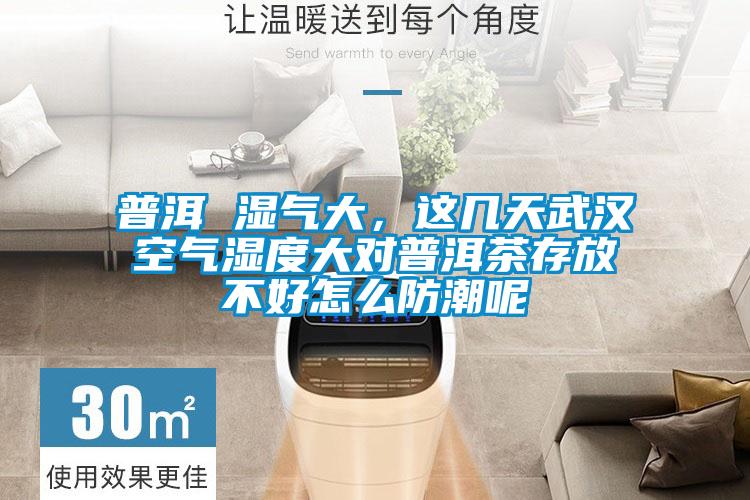 普洱 濕氣大，這幾天武漢空氣濕度大對普洱茶存放不好怎么防潮呢
