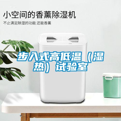 步入式高低溫(濕熱)試驗室