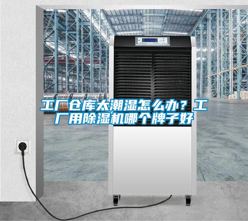 工廠倉庫太潮濕怎么辦？工廠用除濕機(jī)哪個牌子好