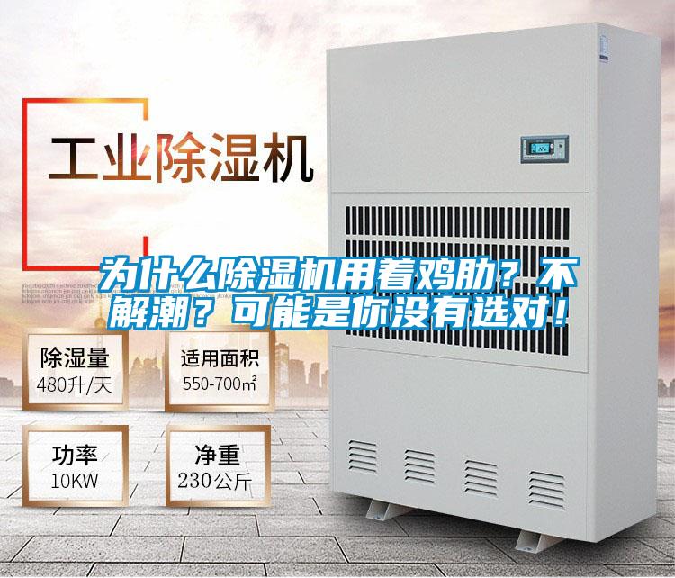 為什么除濕機(jī)用著雞肋?不解潮?可能是你沒有選對(duì)!