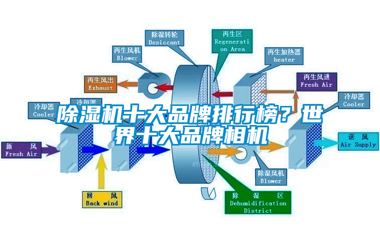 除濕機十大品牌排行榜？世界十大品牌相機