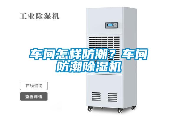 車間怎樣防潮?車間防潮除濕機