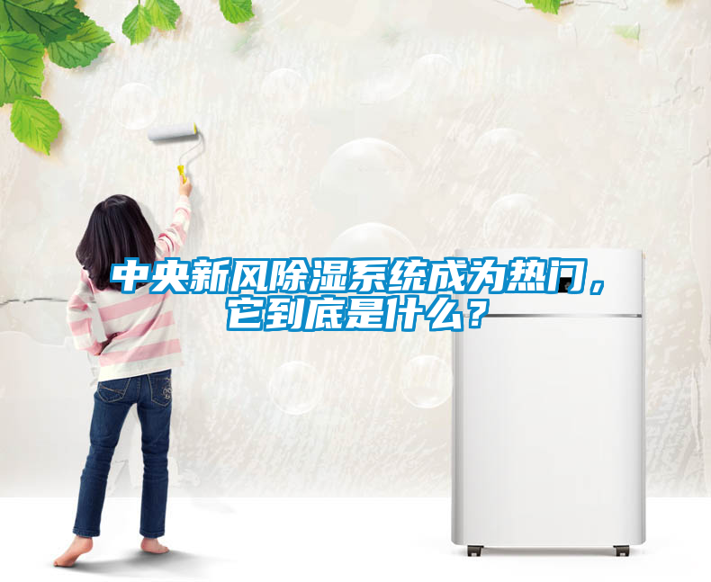 中央新風除濕系統成為熱門，它到底是什么？