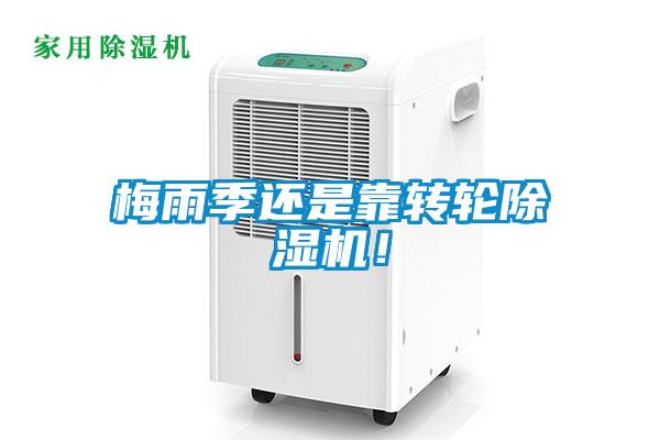 梅雨季還是靠轉(zhuǎn)輪除濕機！