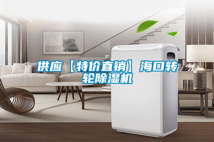 供應(yīng)【特價直銷】海口轉(zhuǎn)輪除濕機(jī)