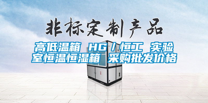 高低溫箱 HG/恒工 實驗室恒溫恒濕箱 采購批發價格