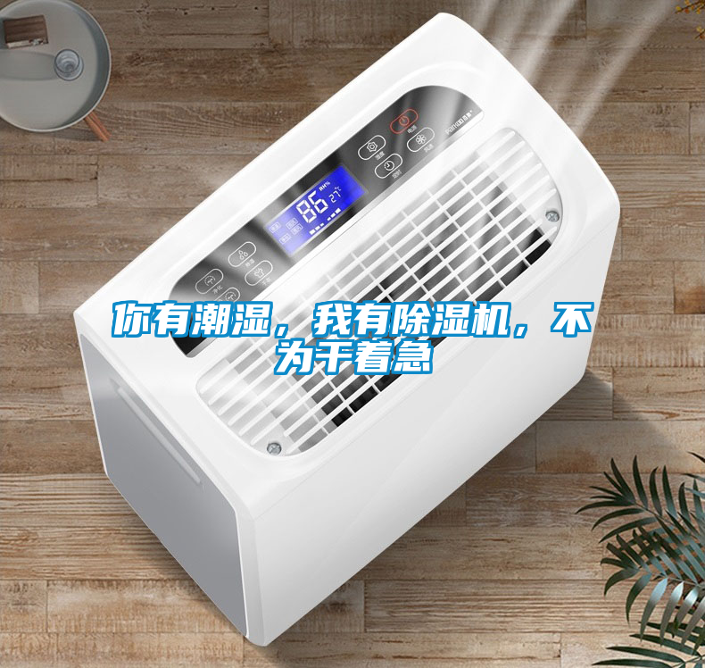 你有潮濕,我有除濕機,不為干著急