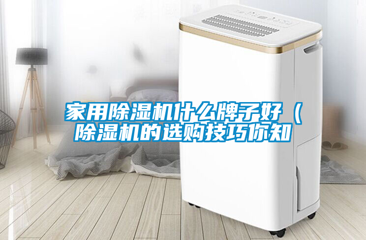 家用除濕機什么牌子好(除濕機的選購技巧你知