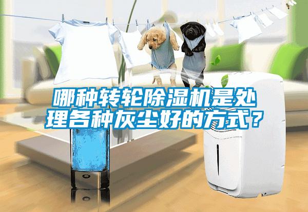 哪種轉輪除濕機是處理各種灰塵好的方式？