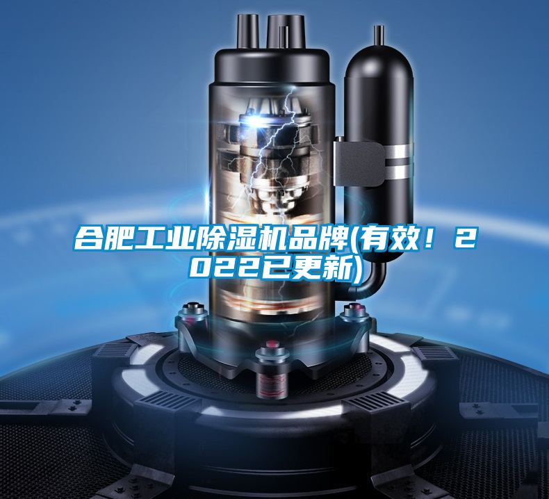 合肥工業(yè)除濕機(jī)品牌(有效!2022已更新)