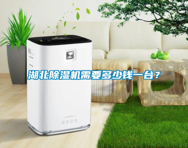 湖北除濕機需要多少錢一臺?
