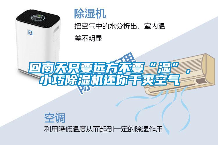 回南天只要遠方不要“濕”，小巧除濕機還你干爽空氣