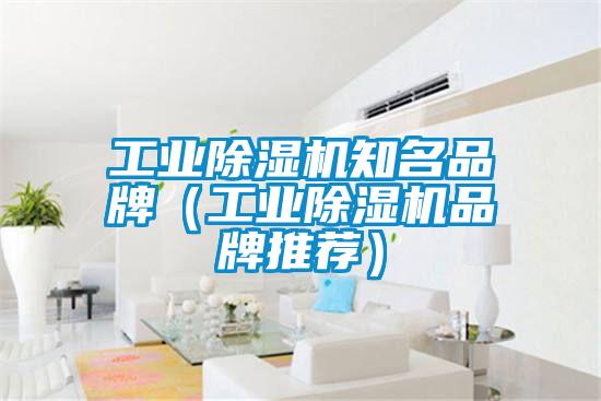 工業除濕機知名品牌(工業除濕機品牌推薦)