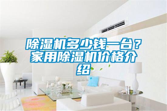 除濕機(jī)多少錢一臺？家用除濕機(jī)價格介紹