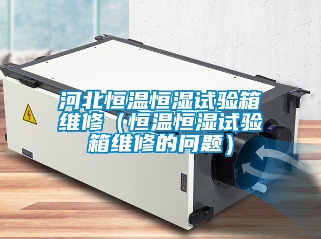 河北恒溫恒濕試驗箱維修(恒溫恒濕試驗箱維修的問題)