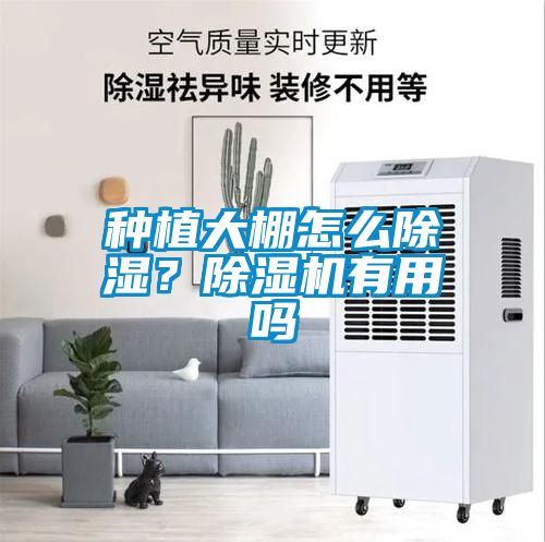種植大棚怎么除濕?除濕機有用嗎