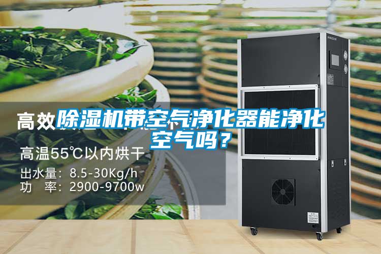 除濕機帶空氣凈化器能凈化空氣嗎？