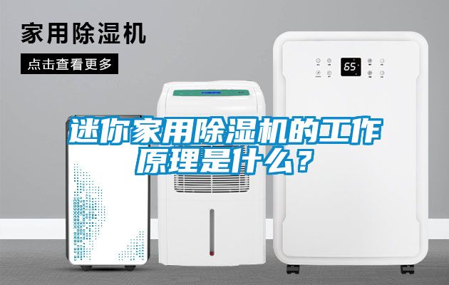迷你家用除濕機(jī)的工作原理是什么？