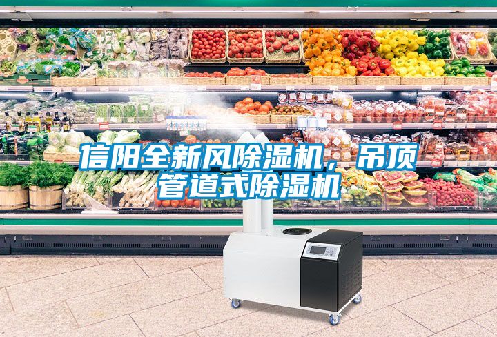 信陽全新風除濕機，吊頂管道式除濕機