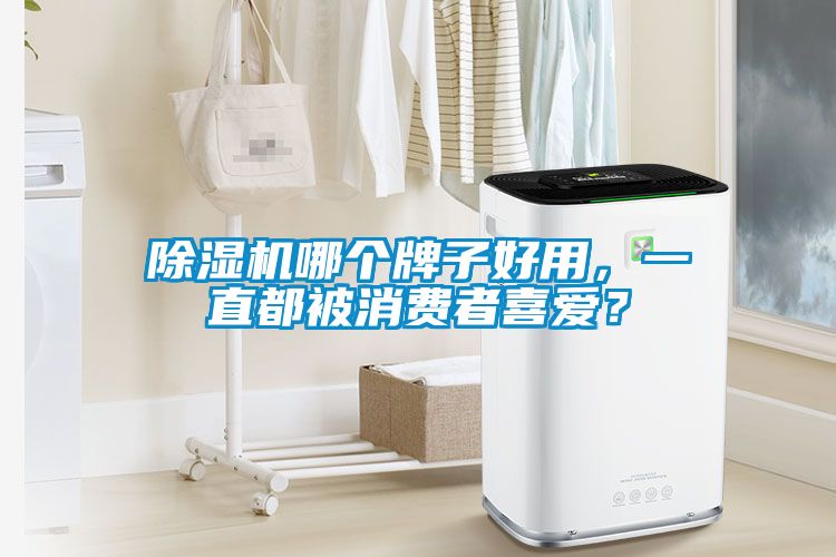 除濕機哪個牌子好用，一直都被消費者喜愛？