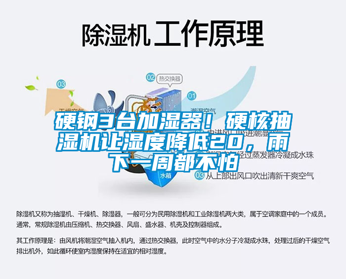 硬鋼3臺(tái)加濕器!硬核抽濕機(jī)讓濕度降低20,雨下一周都不怕