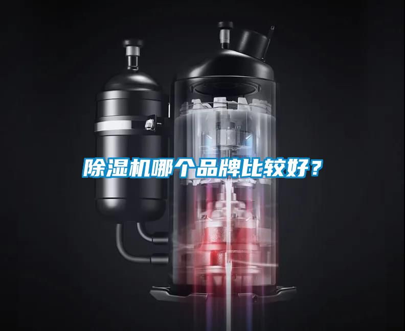 除濕機(jī)哪個(gè)品牌比較好?