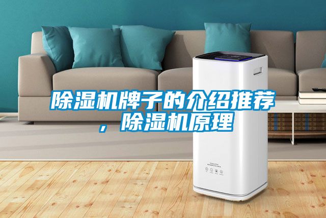 除濕機牌子的介紹推薦,除濕機原理