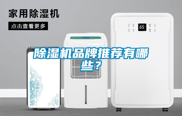 除濕機品牌推薦有哪些?