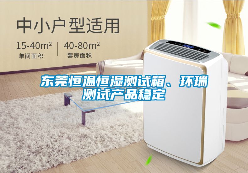 東莞恒溫恒濕測試箱、環瑞測試產品穩定