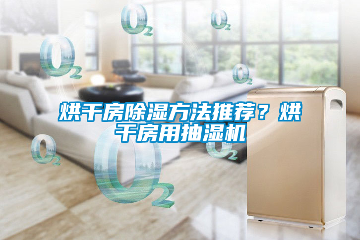 烘干房除濕方法推薦？烘干房用抽濕機