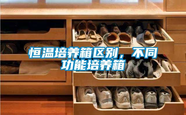 恒溫培養箱區別，不同功能培養箱