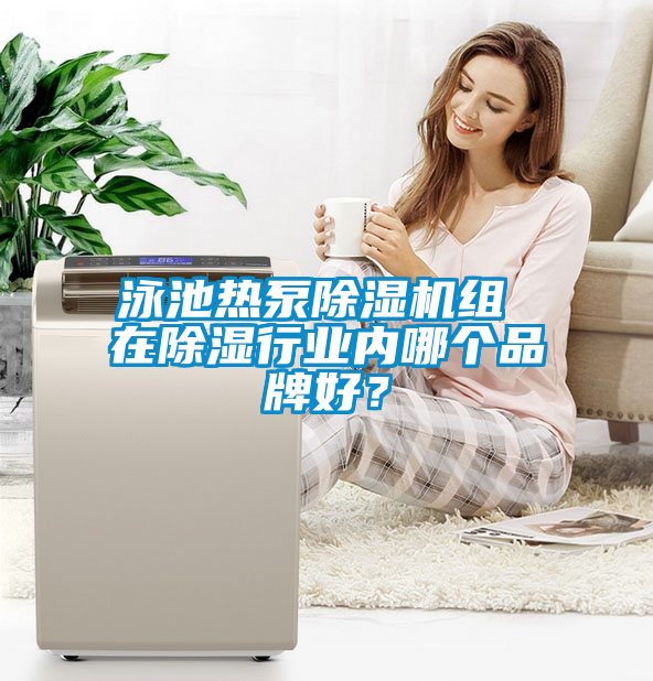 泳池?zé)岜贸凉駲C(jī)組 在除濕行業(yè)內(nèi)哪個品牌好？