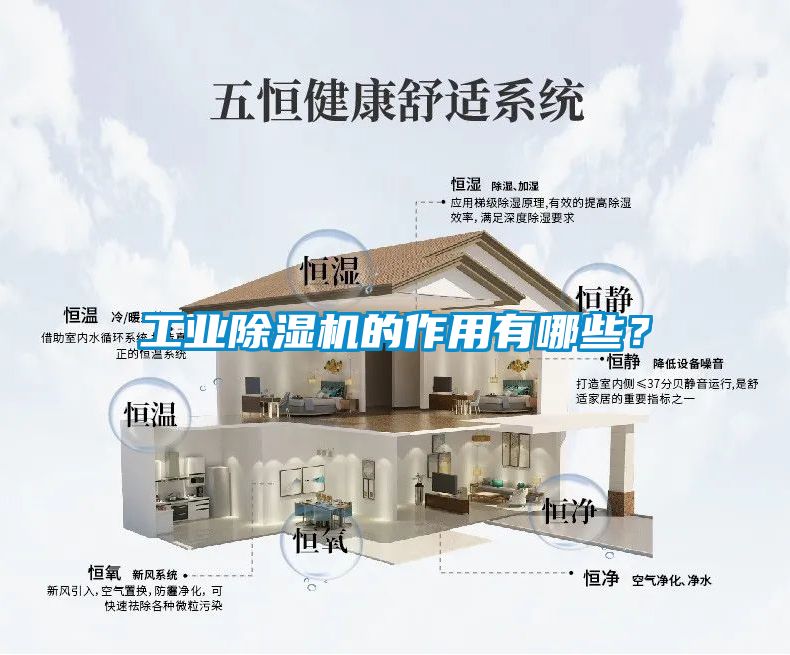 工業除濕機的作用有哪些？