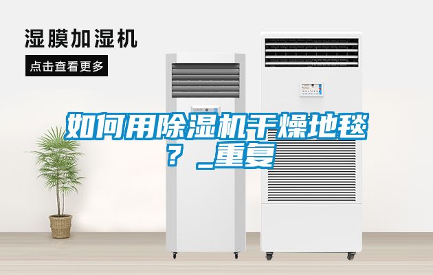 如何用除濕機干燥地毯？_重復