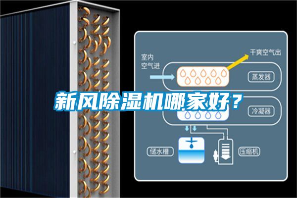 新風除濕機哪家好?