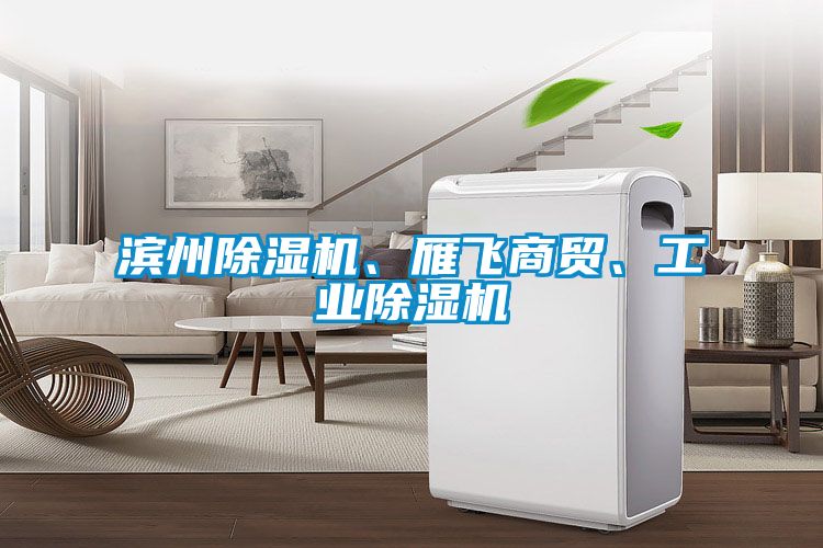 濱州除濕機、雁飛商貿、工業(yè)除濕機