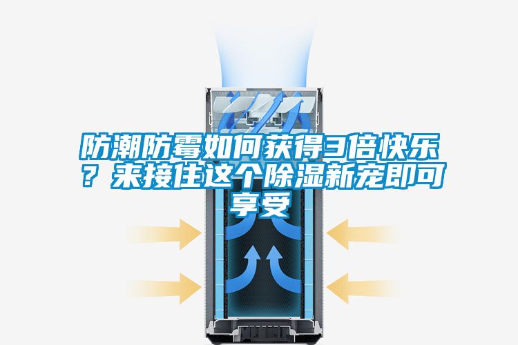 防潮防霉如何獲得3倍快樂?來接住這個除濕新寵即可享受