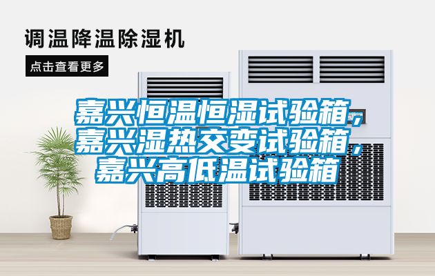 嘉興恒溫恒濕試驗(yàn)箱，嘉興濕熱交變?cè)囼?yàn)箱，嘉興高低溫試驗(yàn)箱