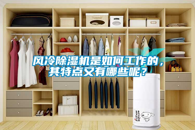 風(fēng)冷除濕機是如何工作的，其特點又有哪些呢？