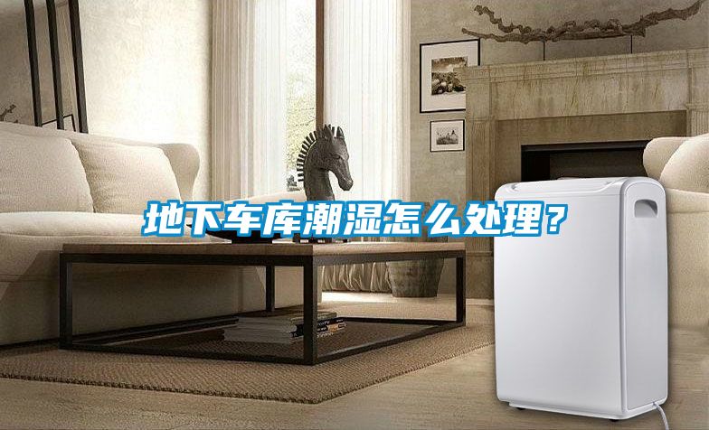 地下車(chē)庫(kù)潮濕怎么處理?